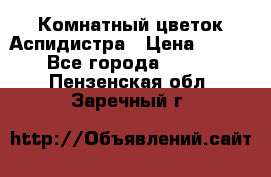 Комнатный цветок Аспидистра › Цена ­ 150 - Все города  »    . Пензенская обл.,Заречный г.